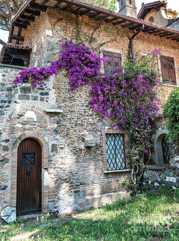 \flowers Poster featuring the photograph Along the Via Appia Antica by Joseph Yarbrough