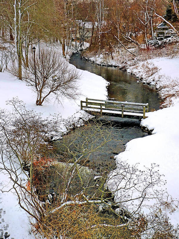 Town Brook Poster featuring the photograph Along Town Brook Plymouth MA by Janice Drew