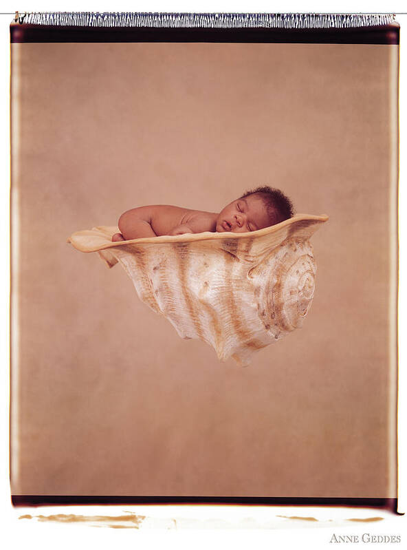 Polaroid Poster featuring the photograph Angela in a Shell by Anne Geddes
