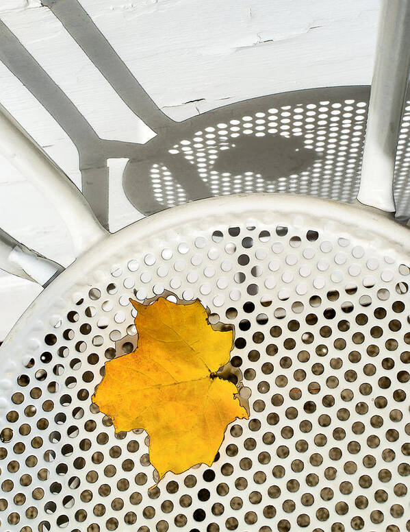 Autumn Poster featuring the photograph Autumn Leaf And Shadows by Gary Slawsky