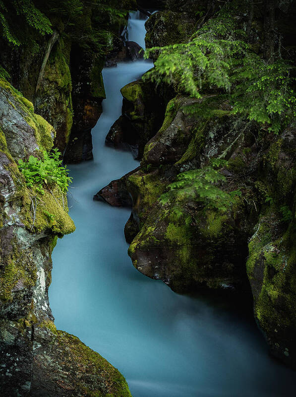 Montana Scenic Poster featuring the photograph Avalanche Creek- Glacier National Park by John Vose