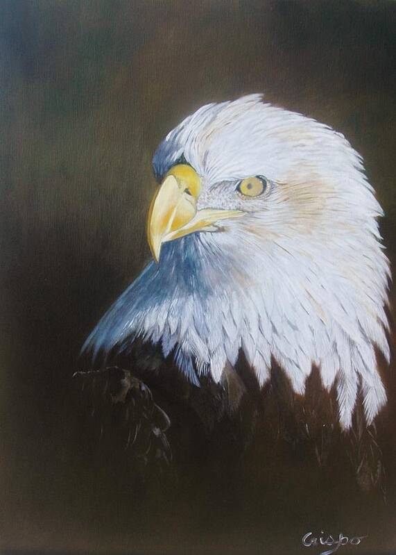 Eagle Poster featuring the painting Bald eagle by Jean Yves Crispo