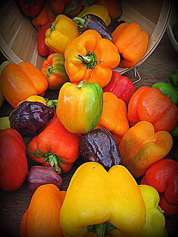 Basket Full O'peppers Poster featuring the photograph Basket Full O'Peppers by Suzanne DeGeorge