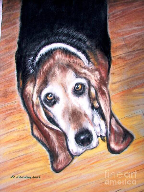  Poster featuring the painting Basset Hound by Pat Davidson