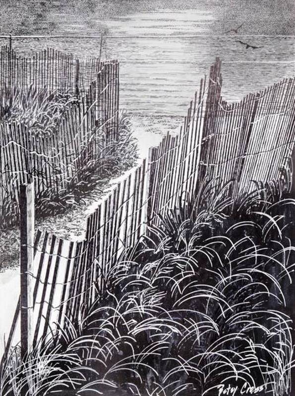 Pen And Ink Poster featuring the drawing Beach Path by Betsy Carlson Cross