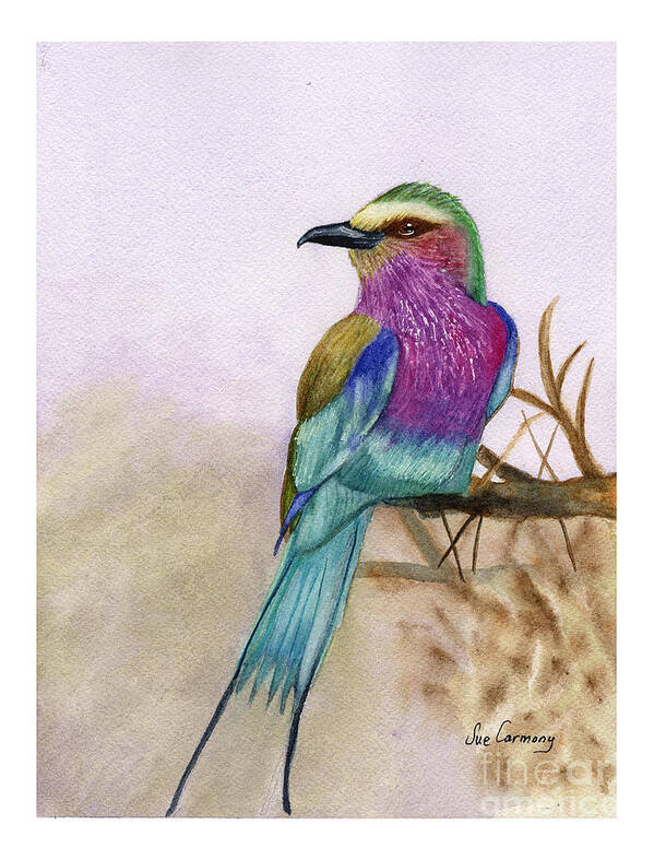 Lilac-breasted Roller Poster featuring the painting Beautiful Bird--Lilac Breasted Roller by Sue Carmony