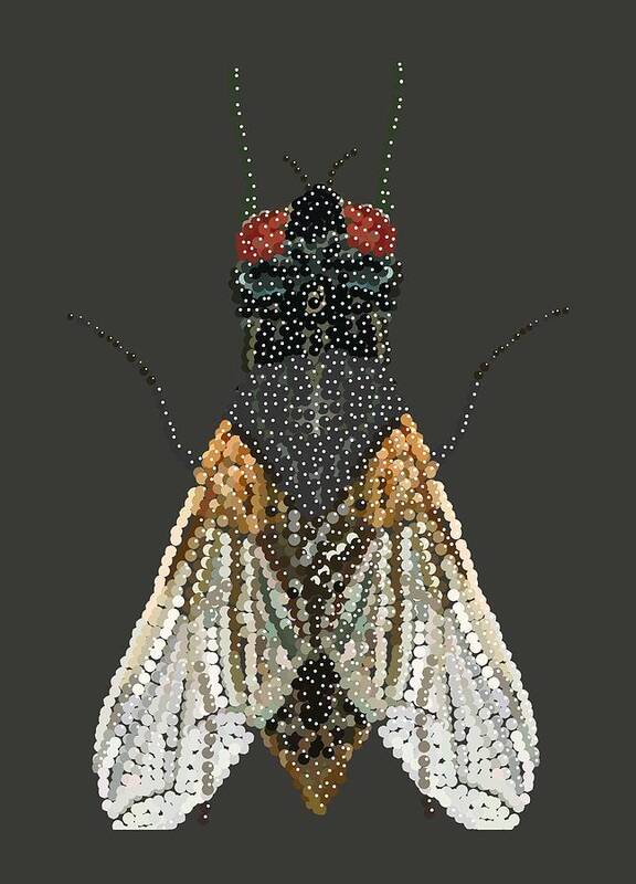  Poster featuring the digital art Bedazzled Housefly Transparent Background by R Allen Swezey
