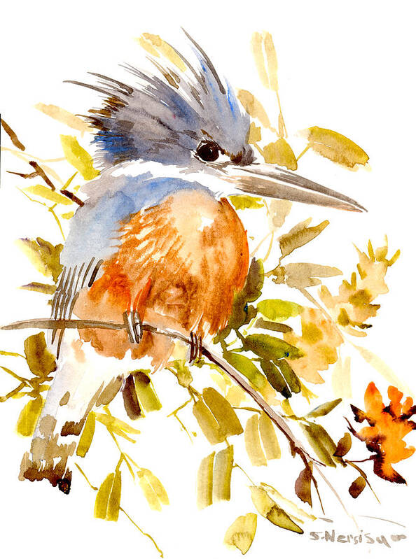 Kingfisher Poster featuring the painting Belted Kingfisher by Suren Nersisyan