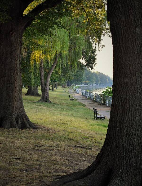 Potomac Poster featuring the photograph Benches Framed By Trees by Mark Mitchell