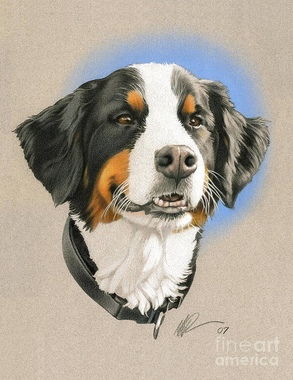 Pet Poster featuring the painting Bernese Mountain Dog by Marshall Robinson