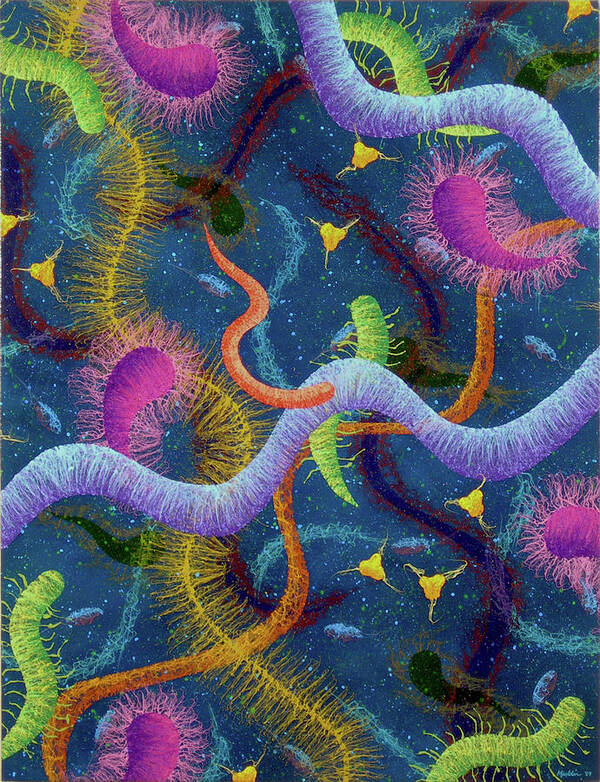 Color Poster featuring the painting Biolog Study Number Three by Stephen Mauldin