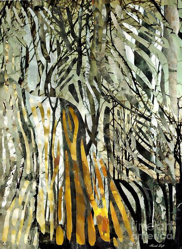 Birch Trees Poster featuring the mixed media Birch Forest by Sarah Loft