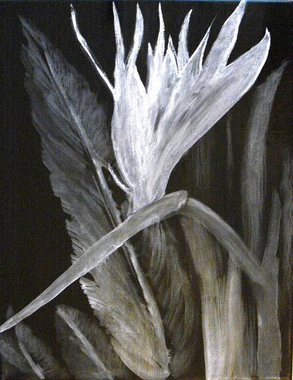 Bird Of Paradise Poster featuring the painting Bird of Paradise Black and White by Rita Tortorelli