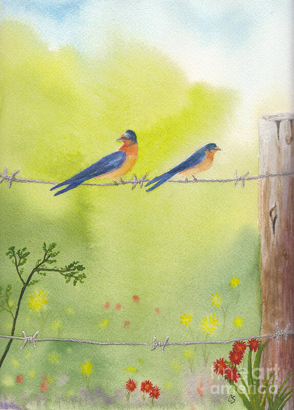 Barn Swallows Poster featuring the painting Birds on a Wire Barn Swallows by Conni Schaftenaar