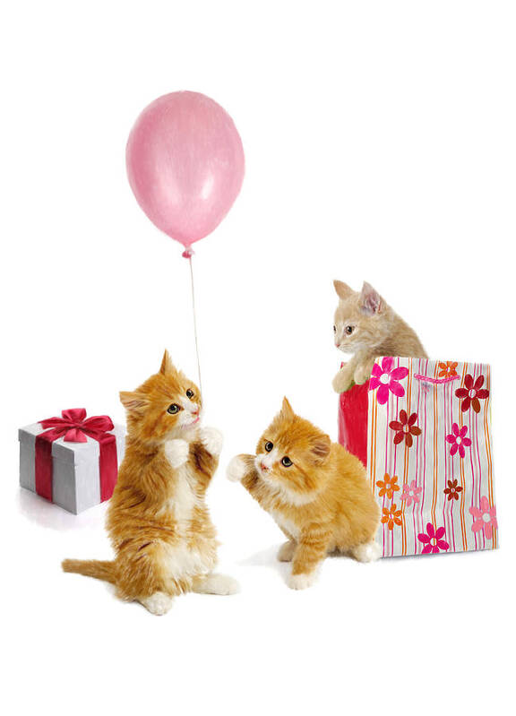 Balloon Poster featuring the digital art Birthday Kitties by Bob Nolin