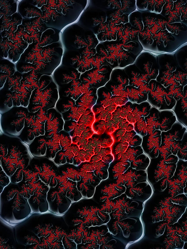 Veins Poster featuring the digital art Black veins red blood abstract fractal art by Matthias Hauser