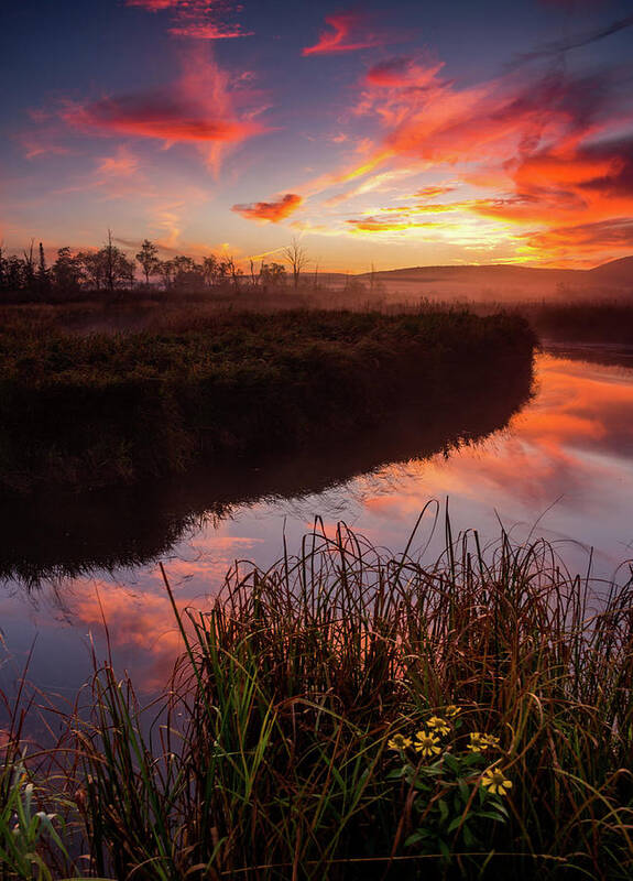 Landscape Poster featuring the photograph Blackwater River Sunrise by Jason Funk