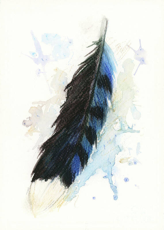 Watercolor Poster featuring the painting Blue Jay Feather Splash by Brandy Woods