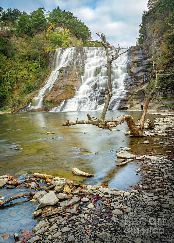 New York Poster featuring the photograph Blue Skies Over Ithaca Falls by Karen Jorstad