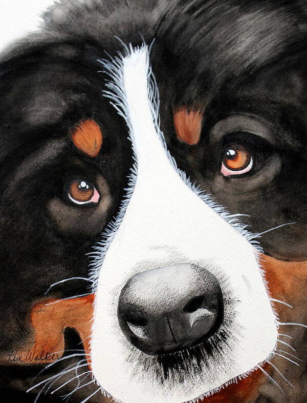 Dog Poster featuring the painting BMD Watercolor by Kimberly Walker