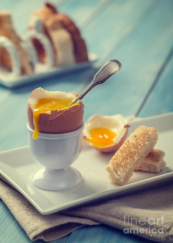 https://render.fineartamerica.com/images/rendered/default/poster/6/8/break/images/artworkimages/medium/1/boiled-egg-with-spoon-amanda-and-christopher-elwell.jpg