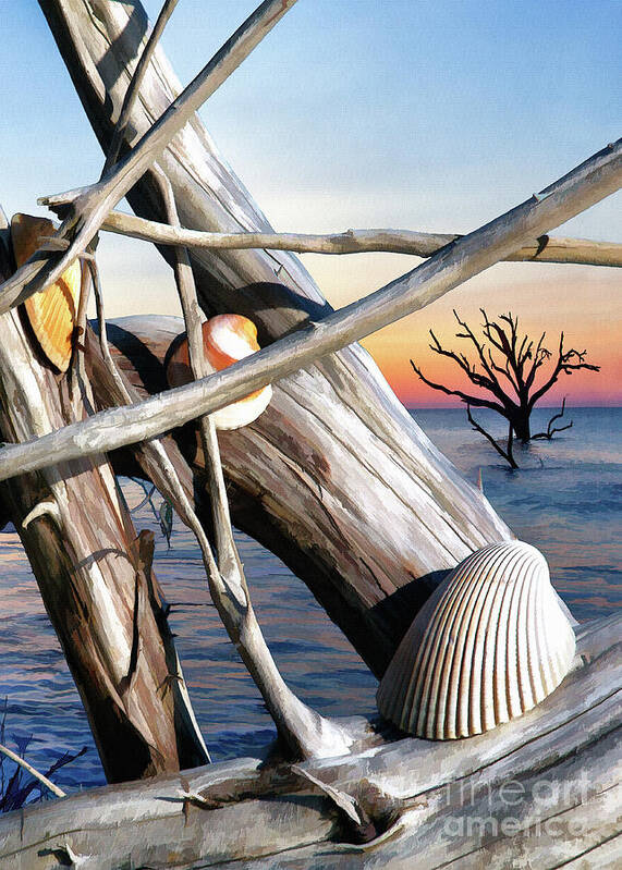 Boneyard Poster featuring the photograph Boneyard Shells IV by Sharon Foster