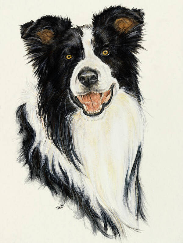 Collie Poster featuring the painting Border Collie in Watercolor by Barbara Keith