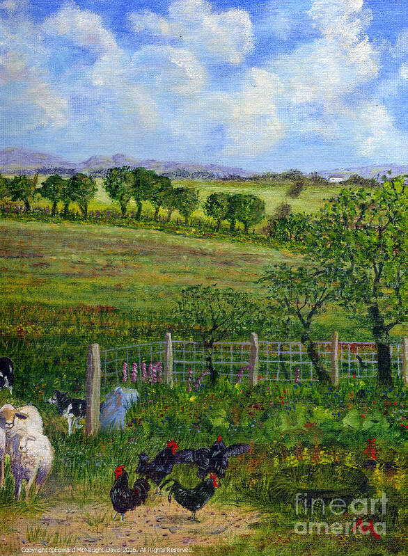 Border Collie Dogs Driving Sheep Poster featuring the painting Border Collie Dogs Driving Sheep Passed Black Cockerels by Edward McNaught-Davis