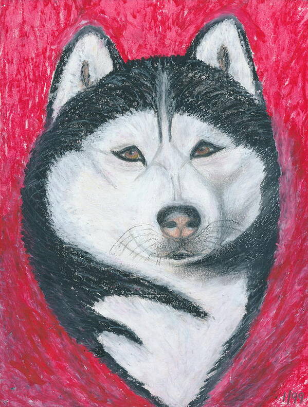 Siberian Husky Poster featuring the drawing Boris the Siberian Husky by Ania M Milo