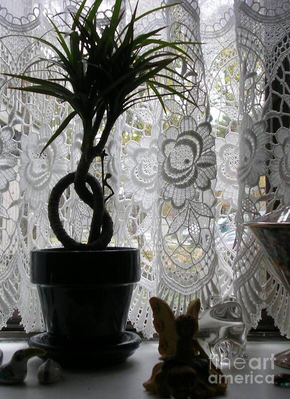 Plant On Windowsill Poster featuring the photograph Braided Dracena On Sill by Rosanne Licciardi