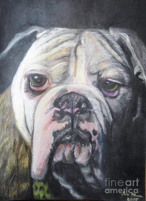 Bulldog Poster featuring the pastel Bulldog by Lori Moon