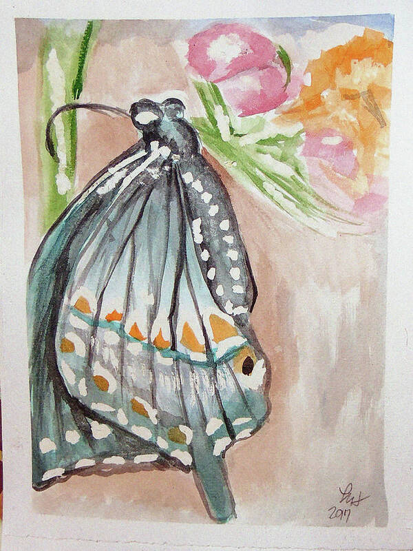  Poster featuring the painting Butterfly 4 by Loretta Nash