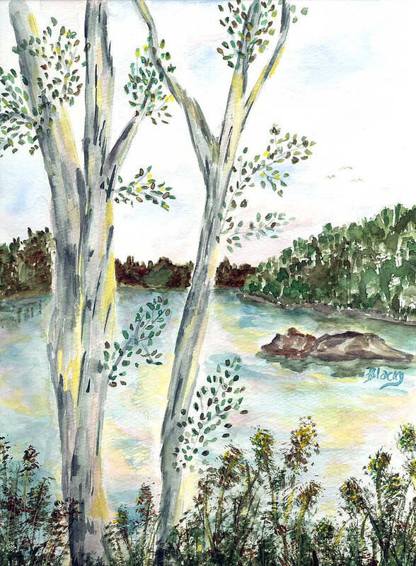 Trees Poster featuring the painting By The Lake by Donna Blackhall