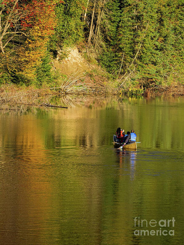 Canoe Poster featuring the photograph Canoeing In Fall by Les Palenik