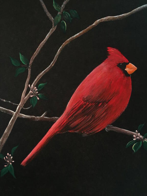 Bird Poster featuring the painting Cardinal by Mickey Clogher