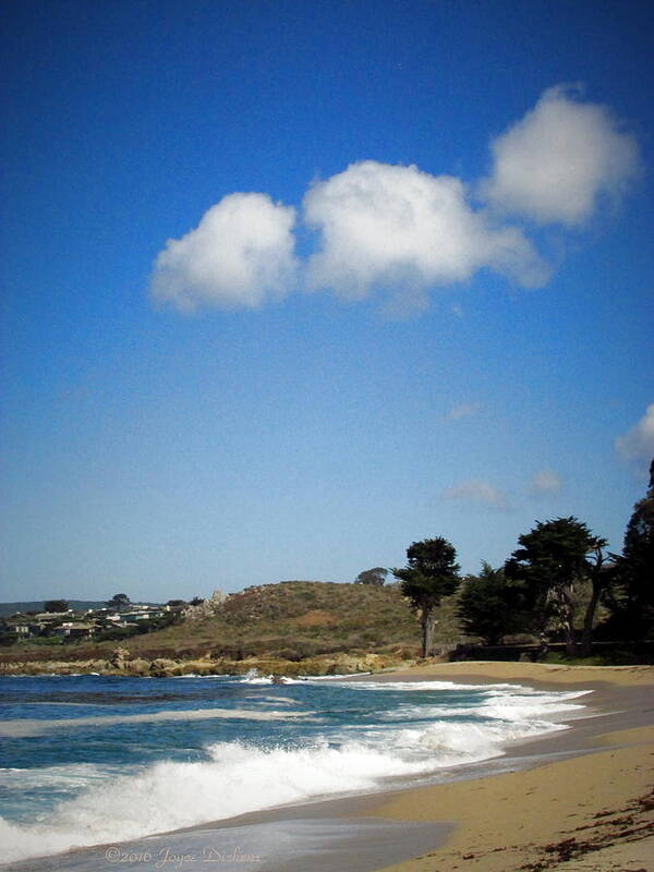 Ocean Poster featuring the photograph Carmel Meadows Beach by Joyce Dickens