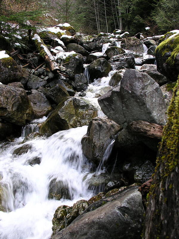 Creek Poster featuring the photograph Cascading Creek by C Thomas Cooney