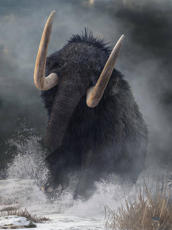 Charging Mammoth Poster featuring the photograph Charging Mammoth by Daniel Eskridge
