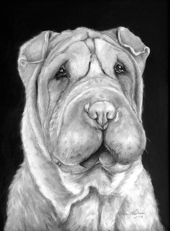 Sharpei Poster featuring the painting Chinese Sharpei by Portraits By NC