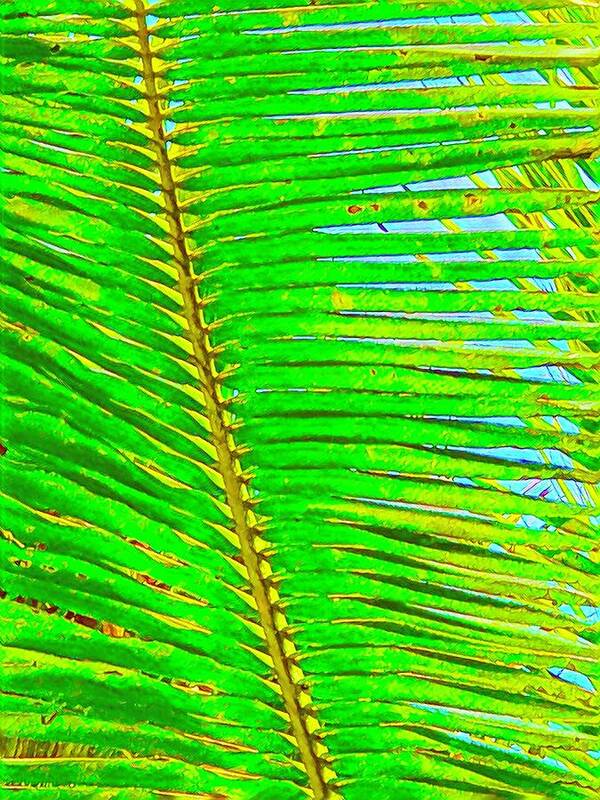 #flowersofaloha #coconutpalmleafaloha Poster featuring the photograph Coconut Palm Leaf Aloha by Joalene Young