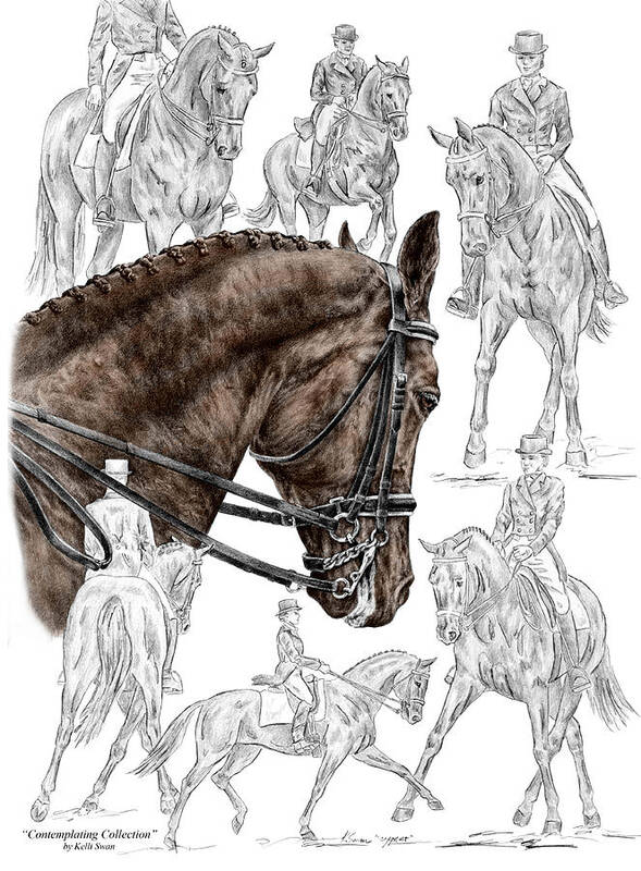 Dressage Poster featuring the drawing Contemplating Collection - Dressage Horse Print color tinted by Kelli Swan