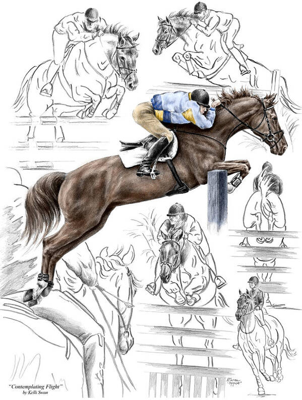 Jumping Poster featuring the drawing Contemplating Flight - Horse Jumper Print color tinted by Kelli Swan