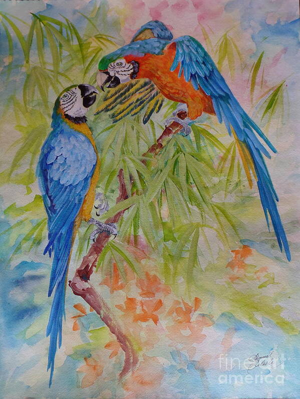 Parrots Poster featuring the painting Conversation with Jackie by Summer Celeste