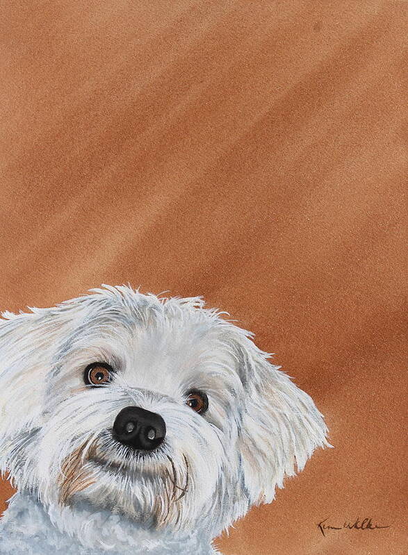 Dog Poster featuring the painting Cooper II Watercolor by Kimberly Walker