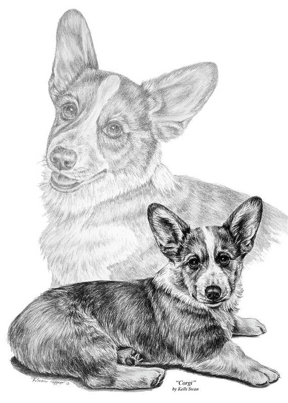 Corgi Poster featuring the drawing Corgi Dog Art Print by Kelli Swan