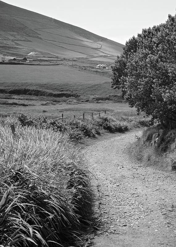 Ireland Poster featuring the photograph Country Lane by Matt MacMillan