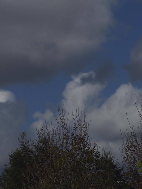  Poster featuring the photograph Cumulus 13 and Trees by Richard Thomas