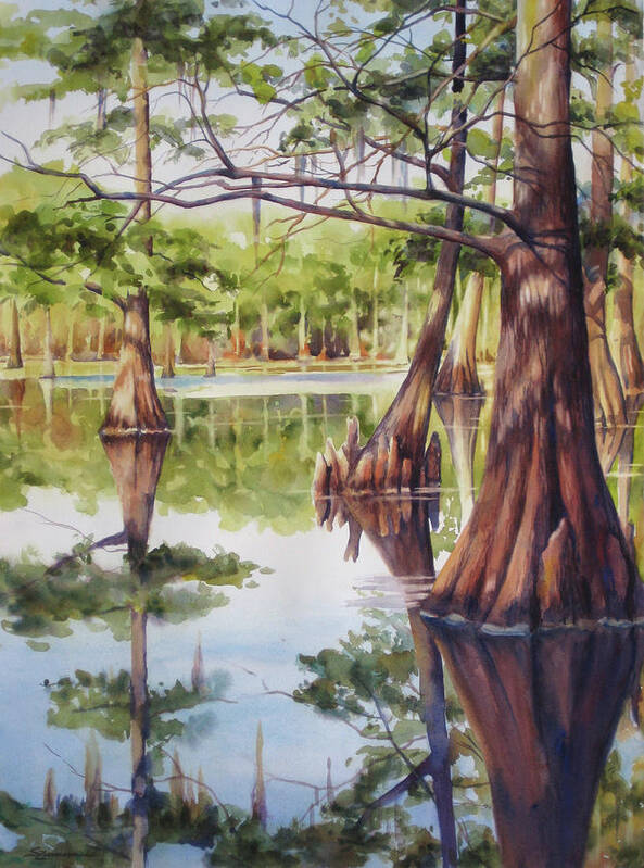 Cypress Tree Poster featuring the painting Cypress in Lake Chicot by Sue Zimmermann