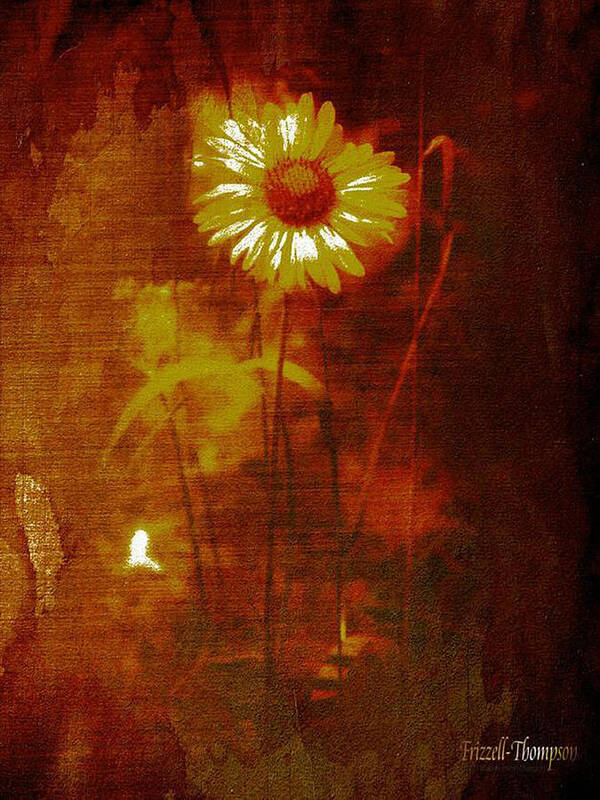 Flower Poster featuring the painting Daisy by Michelle Frizzell-Thompson