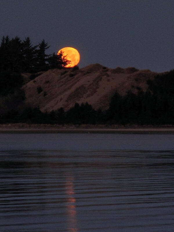 Moon Poster featuring the photograph Dawn Moon Glow by Suzy Piatt